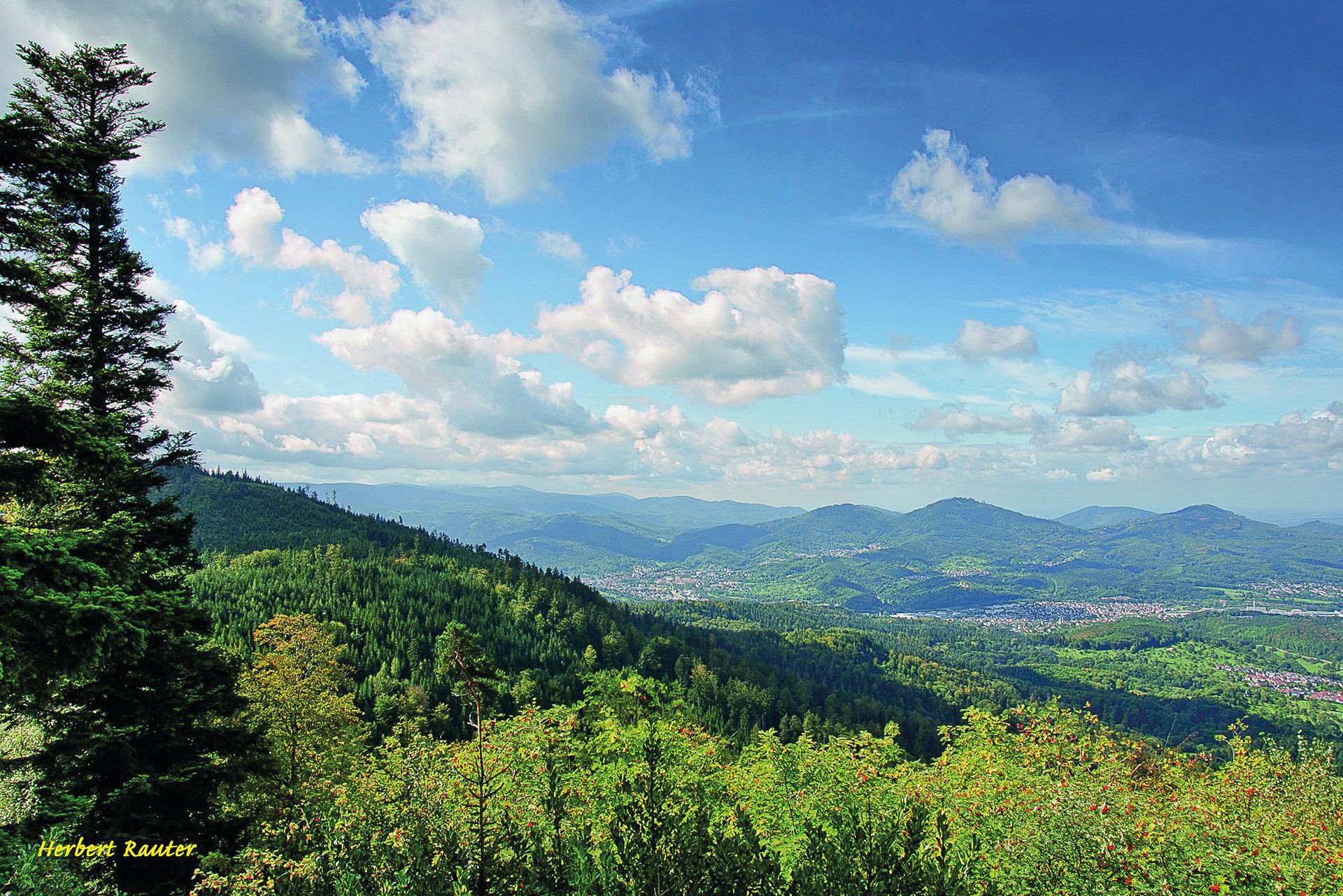 Wanderweg Über Gernsbach nach Baden-Baden