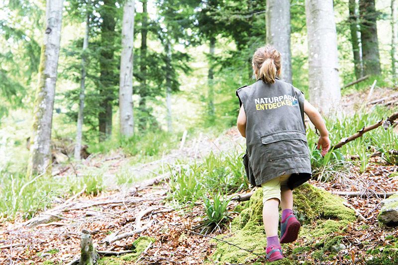 Wanderweg Der Pirschpfad - Kinder-Rundkurs