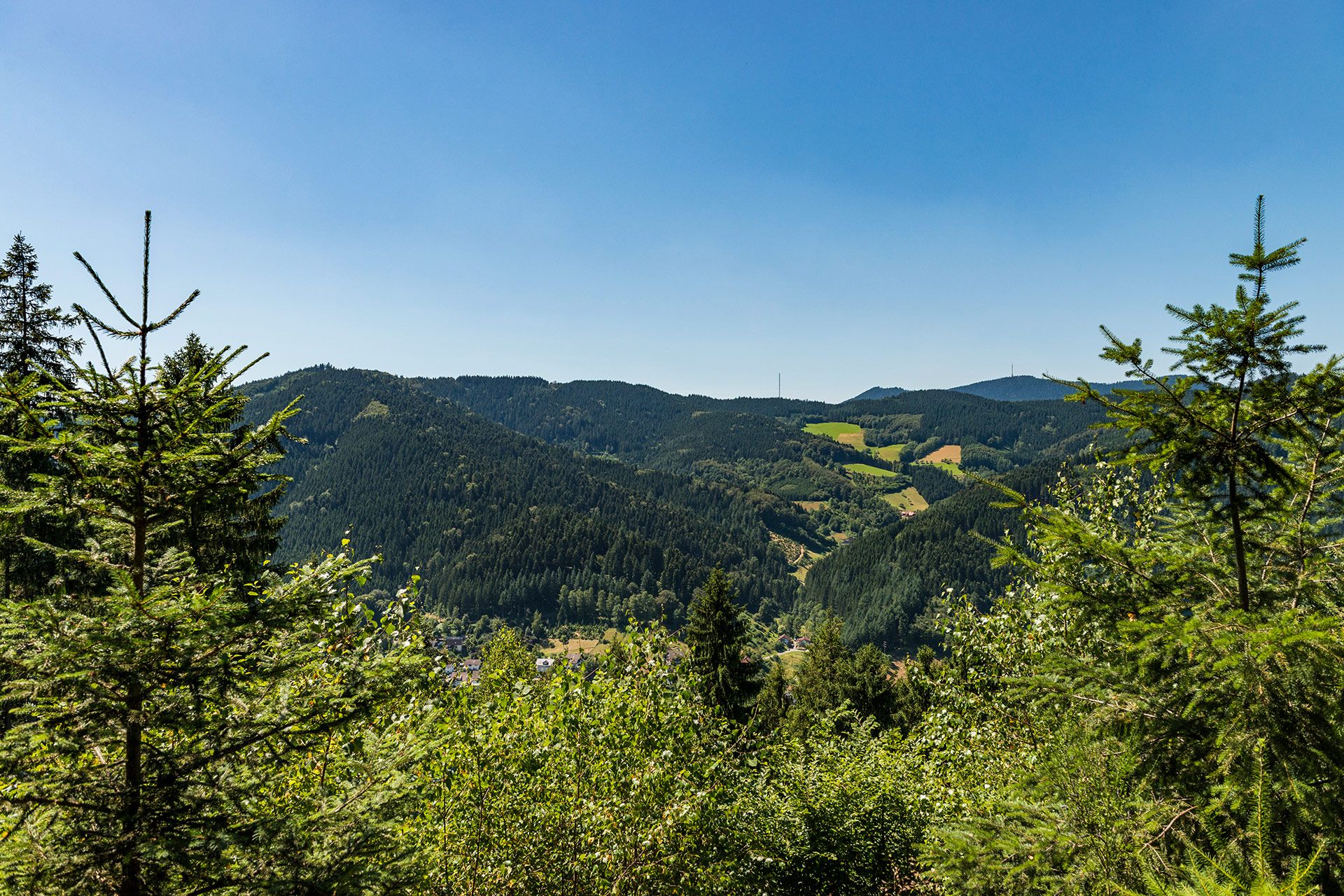 Wanderweg Oberwolfach - Zum König der Kinzigtäler Berge