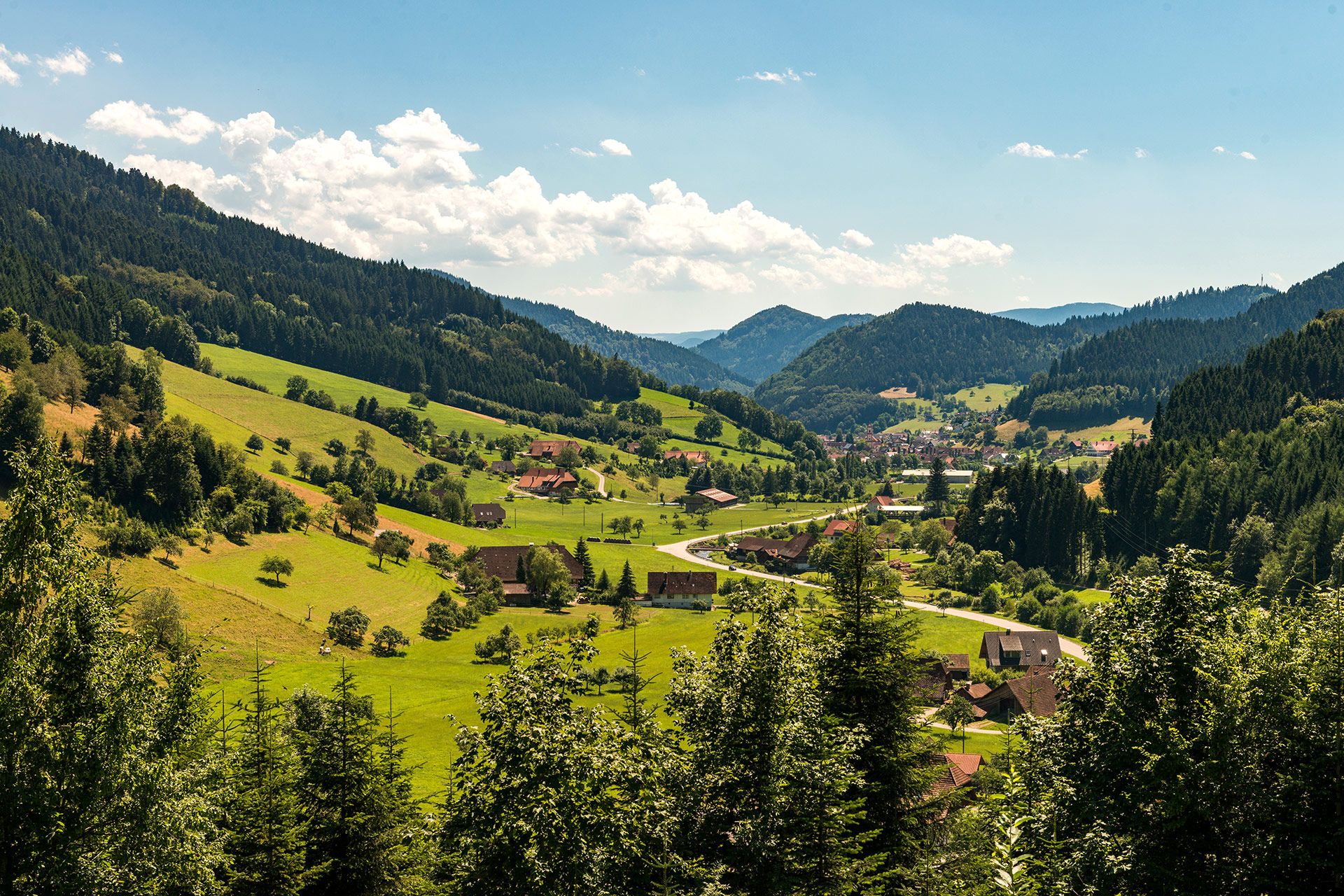 Wanderweg Oberwolfach - Mitteltal-Runde